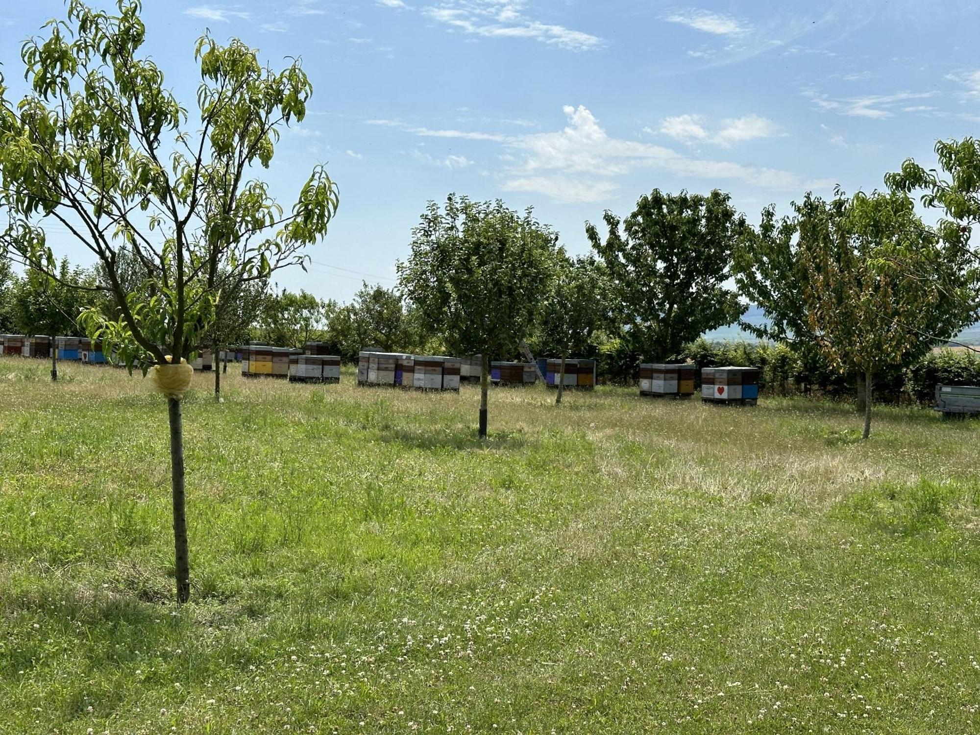 Happy Villa Cernay-les-Reims Exterior photo