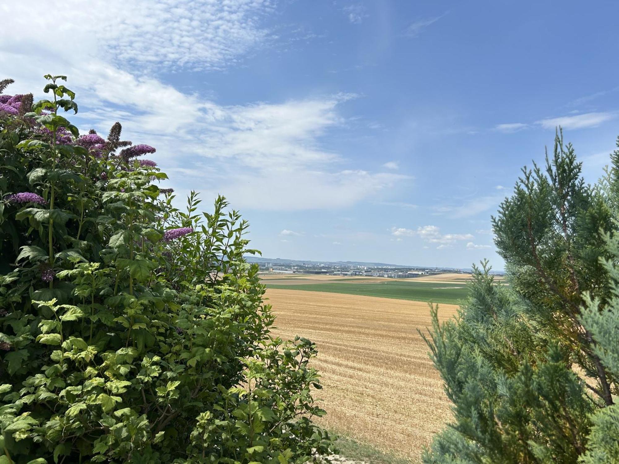 Happy Villa Cernay-les-Reims Exterior photo